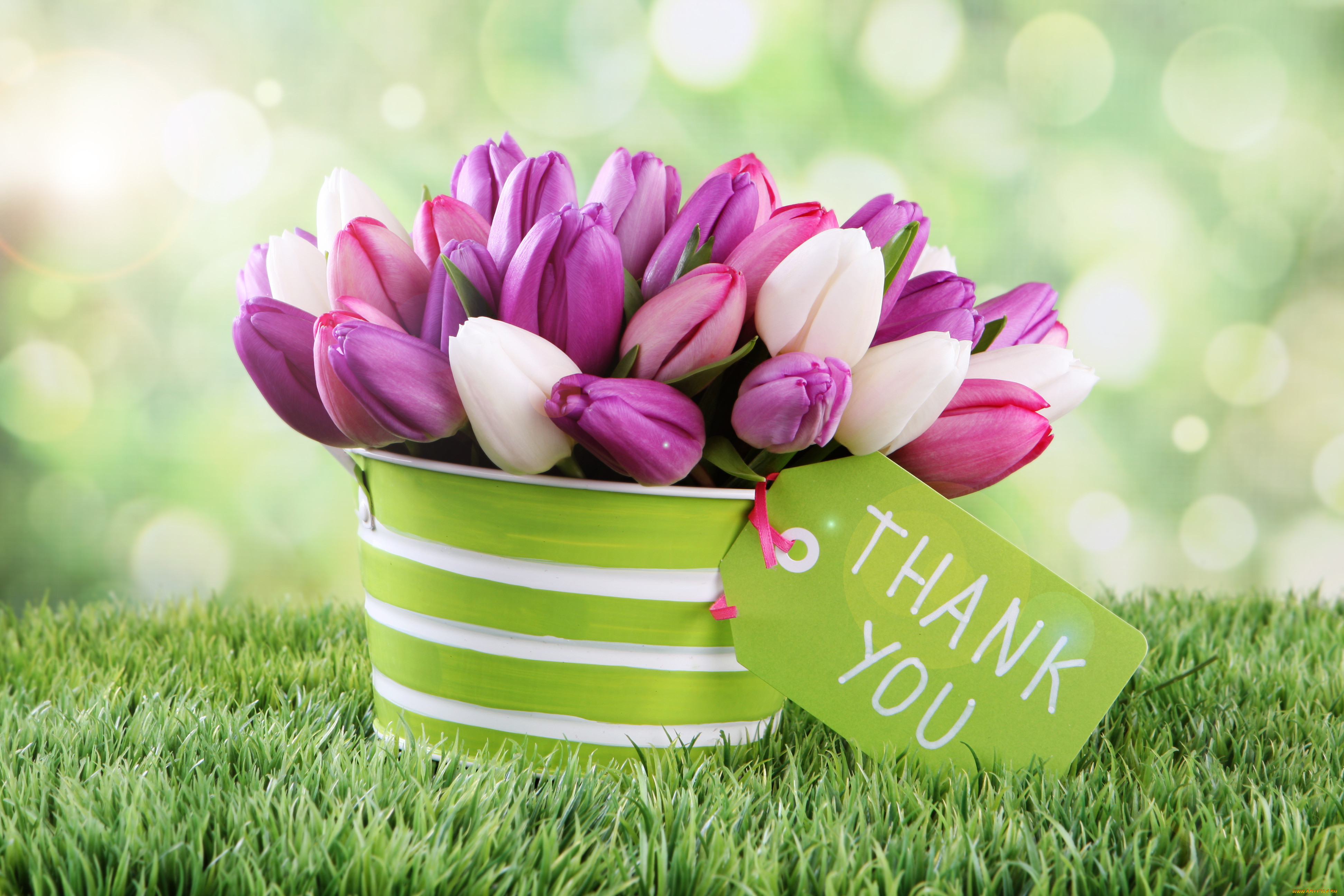Открытки букеты тюльпанов красивые. Цветы тюльпаны. Весенние цветы тюльпаны. Весенний букет.
